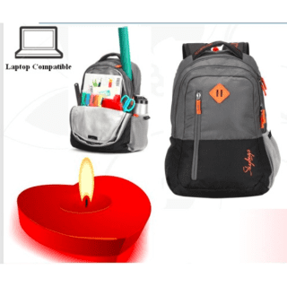 SKYBAGS CENTURY  LAPTOP BACKPACK