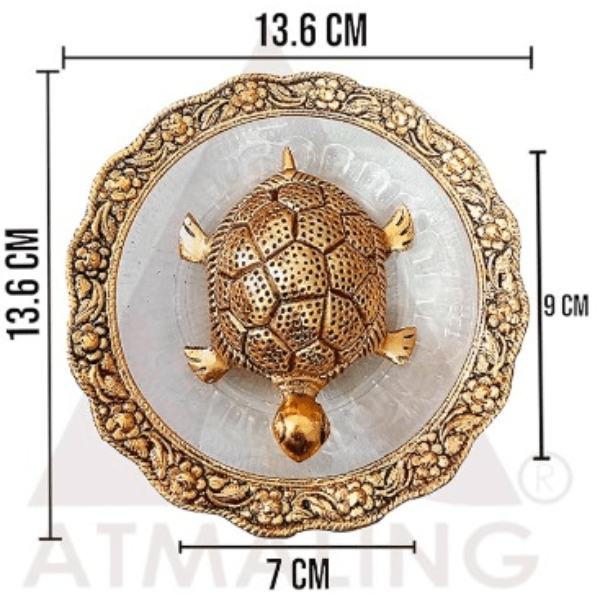 The Good Luck Turtle