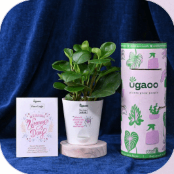 Planter