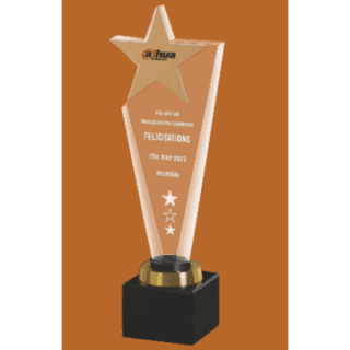 Star Acrylic Trophy
