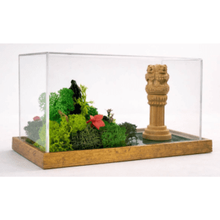 FOREST TERRARIUM- INDIA