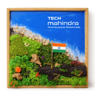 FOREST AQUA FRAME - INDIA