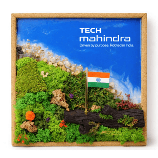 FOREST AQUA FRAME - INDIA