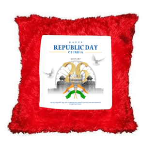 Tricolor Theme Cushion