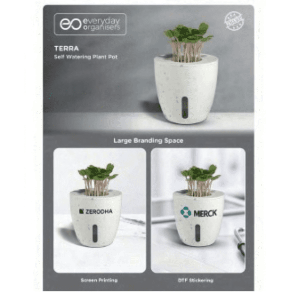 Self Watering Plant Pot