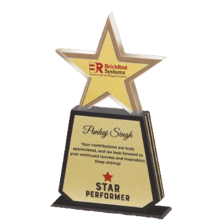 Star Performer Trophy