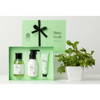 Brillare Minty Fresh Kit